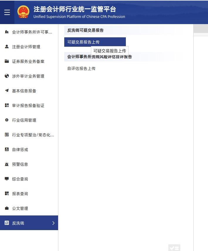 上传可疑交易报告界面